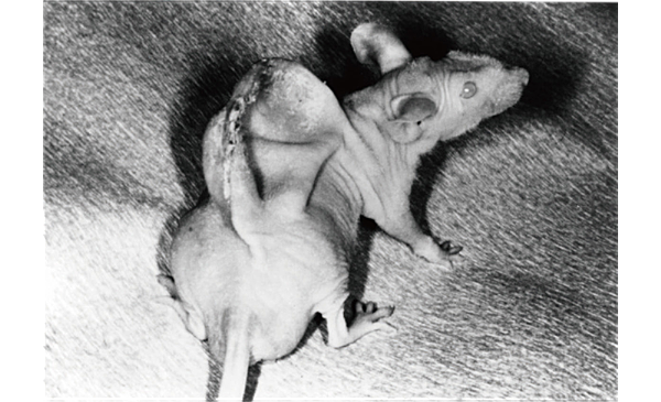 p449
