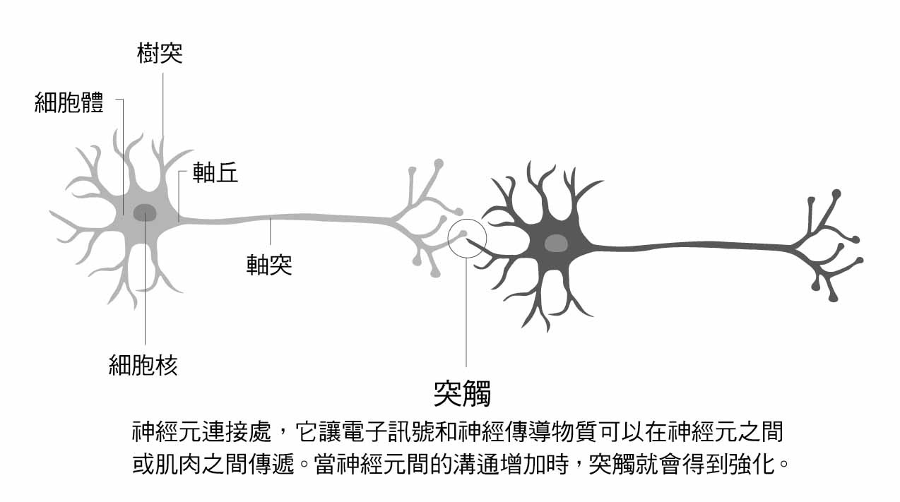圖
