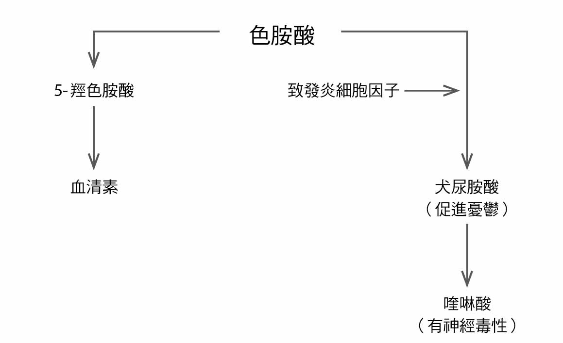 圖
