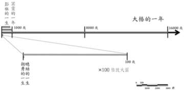 img-007